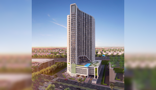 Blockchain Application Developer